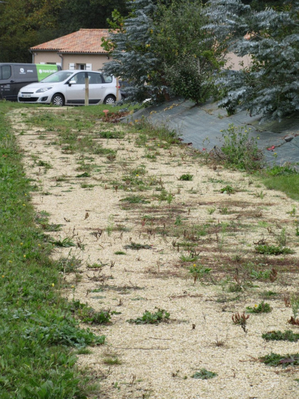 BIN'TRACT Désherbeur mécanique tracté